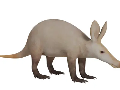 Aardvarks Low-poly 3D model