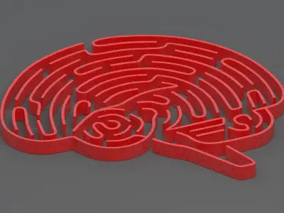 Red brain maze 3D model