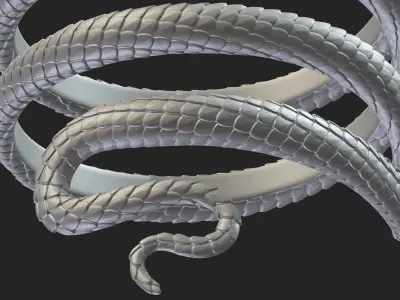 Snake Bracelet 3D print model