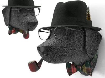 Soft Braco - Allan 3D model