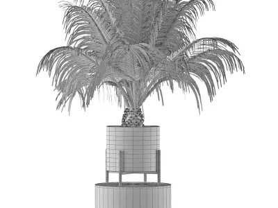 House Plant 31 3D model