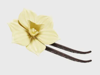 Vanilla flower Low-poly 3D model