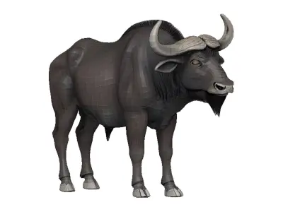 Buffalo Low-poly 3D model get