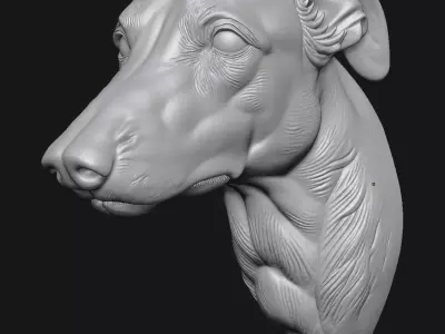 Greyhound 3D print model