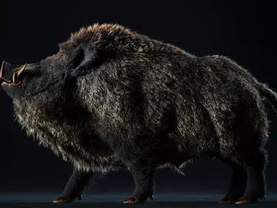 Wild Boar Full pack Low-poly 3D model