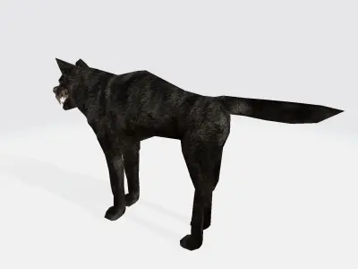 wolf 3d 3D model