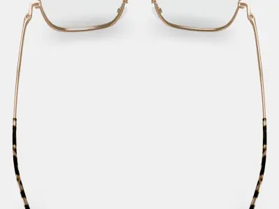 Aniyah Eyeglasses in Polished Gold 3D model