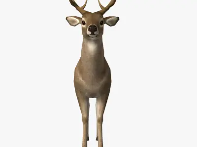 Deer Model with antlers Low-poly 3D model
