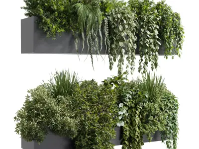 wall plant hanging plants collection Indoor plant  Low-poly 3D model