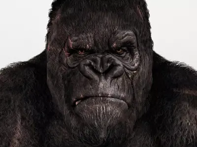 Realistic Gorilla 3D Model High Resolution Game Film Ready 3D model