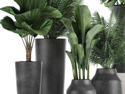 Collection of decorative plants in flowerpots 830 3D model