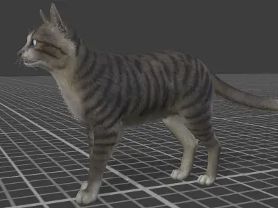 Cats -Stray Low-poly 3D model