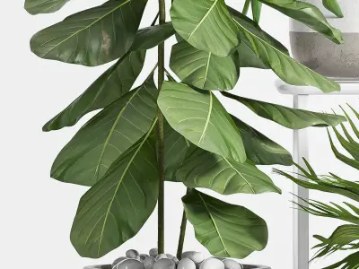 Decorative plant set-53 3D model