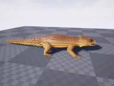 Armadillo lizard  Handpainted  GAME READY Low-poly 3D model