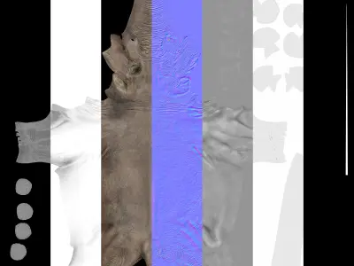 Anancus arvernensis Low-poly 3D model