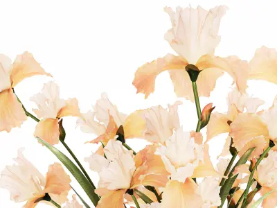 Beautiful Bouquet In Glass Vase With Flowers Iris 573 3D model