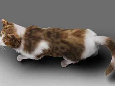 Fur Cat Calico V03 Rigged Low-poly 3D model