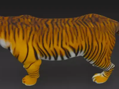 Bengal Tiger 3d Model 3D model