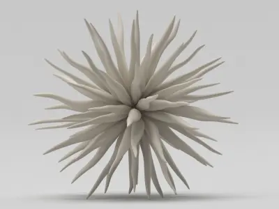 Decoration 08 Sea Urchin Free 3D model