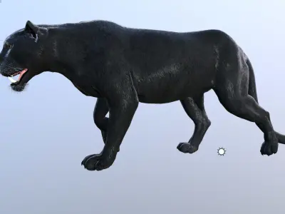 Panther -Lowpoly Animation Low-poly 3D model