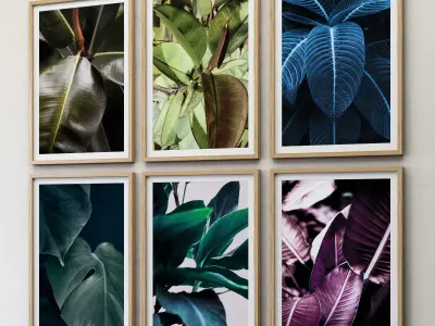 JUNIQE Ficus Poster 3D model