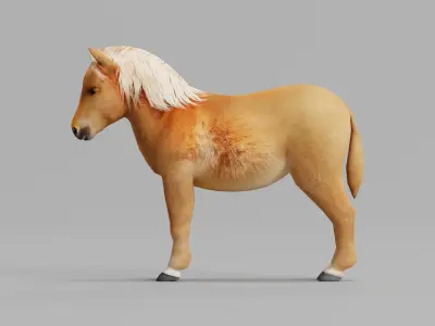 Pony Small Horse Animal Low-poly 3D model