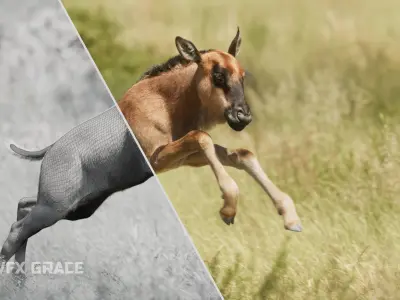 Baby Wildebeest  UE Character Asset 3D model