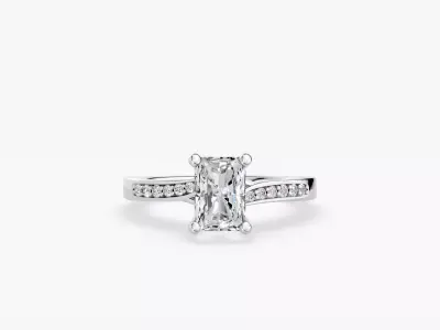 ZABS0018 RA engagement 3D print model