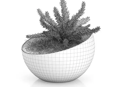 Plant in Sphere Glass Pot 3D model