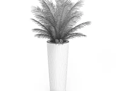 Palm Tree in Round Pot 4 3D model