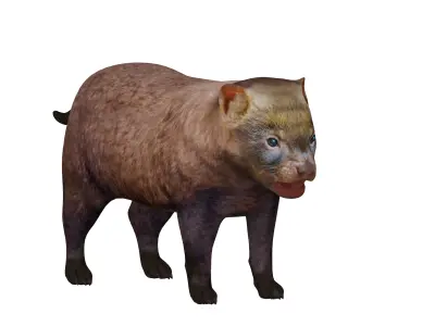 Bush Dog Low-poly 3D model