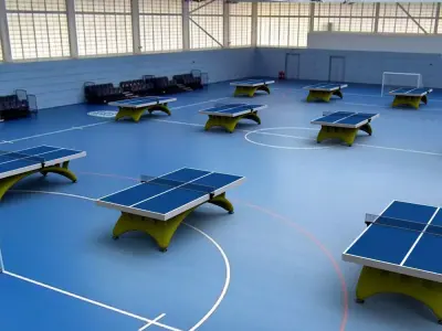 ping pong table Low-poly 3D model