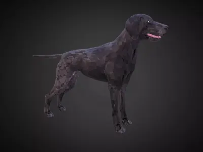Kurtshaar Black Low Polygon Art Animal Low-poly 3D model