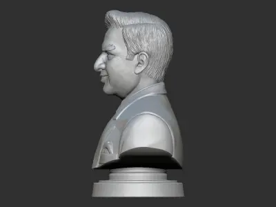 Ratan Tata Bust 3D print model