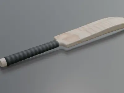 Cricket bat  Low-poly 3D model