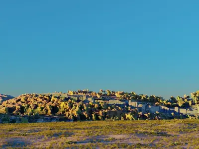 Desert field Free 3D model