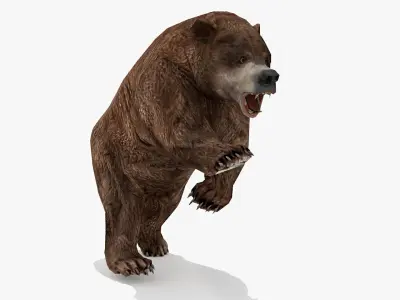 Bear - Rigged Low-poly 3D model