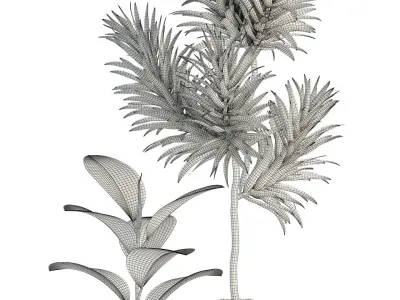 Plants collection 85 3D model