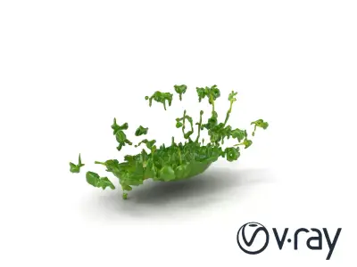 Fresh Watercress Leaf Textures model pack Low-poly 3D model