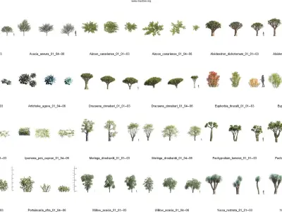 Maxtree Plant Models Vol 73 - Mesh 3D model