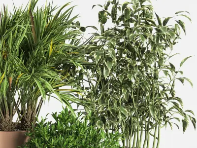 Indoor Plant Set 16 3D model