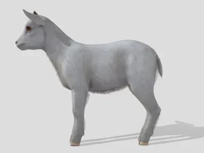 Goatling  Low-poly 3D model