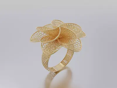 women ring 3D print model get