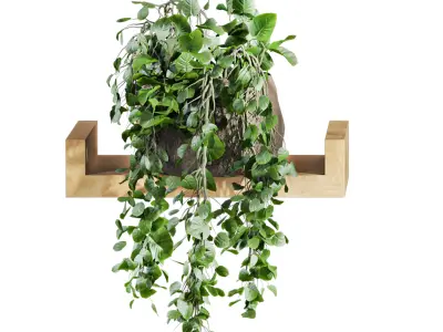 Plants Set 3D model
