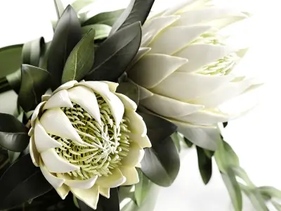 in the willow 3D model