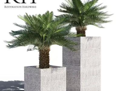 Artificial Cycas Palm in RH pot 3D model