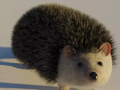 A cute spiny Hedgehog 3D model
