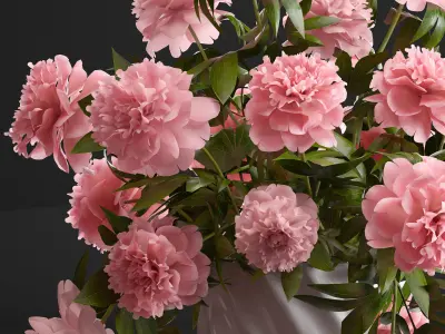 Bouquet pink Peonies  peony 3D model