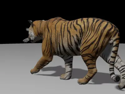Tiger with animation 3D model