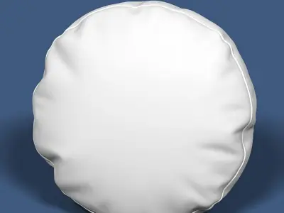 Pillow 41 3D model